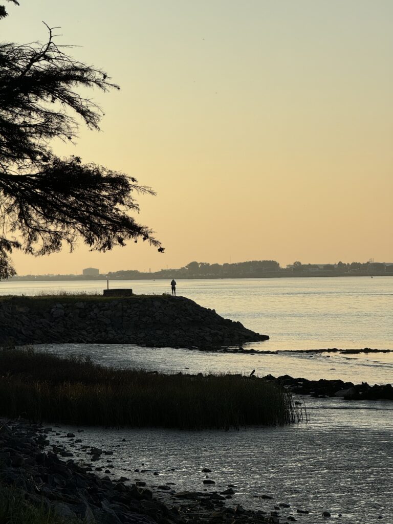 L'estuaire de la Loire vue de la rive. AU loin on paerçoit Saint Nazaire, au plus près à marée basse on voir les lignes boueuses de la Loire et une silhouette au loin au bord de l'eau