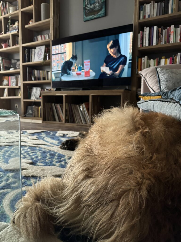 Mon chien dort sur le tapis devant la télé. A ma télé passe le film Madame Web dont je parle dans ce post.