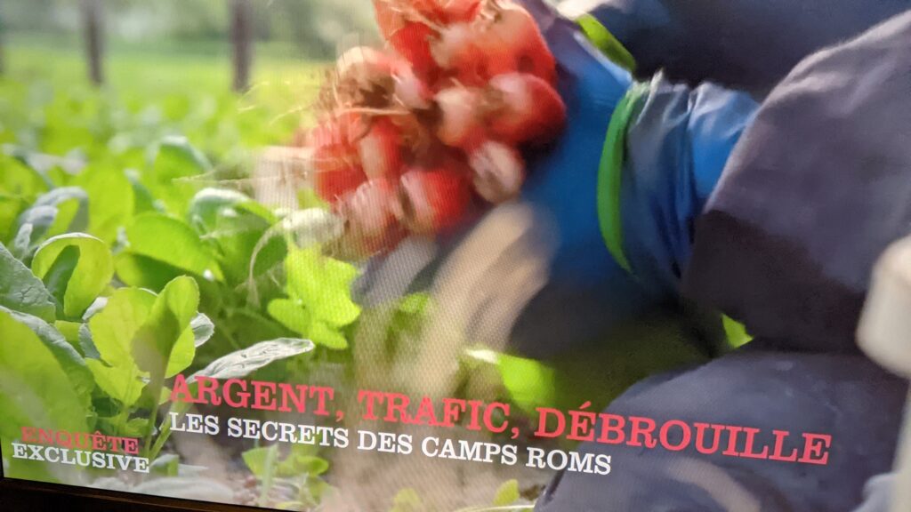 l'écran d'une télévision est photographié en gros plan on y voit une main gantée arrachant des radis du sol avec un sous-titre à l'écran "les secrets des camps roms"