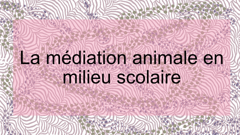 La médiation animale en milieu scolaire
